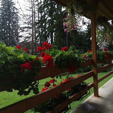Challet Montan Poiana Brasov Exterior photo
