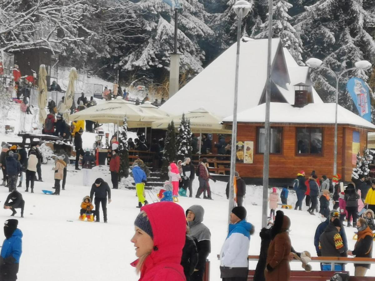 Challet Montan Poiana Brasov Exterior photo