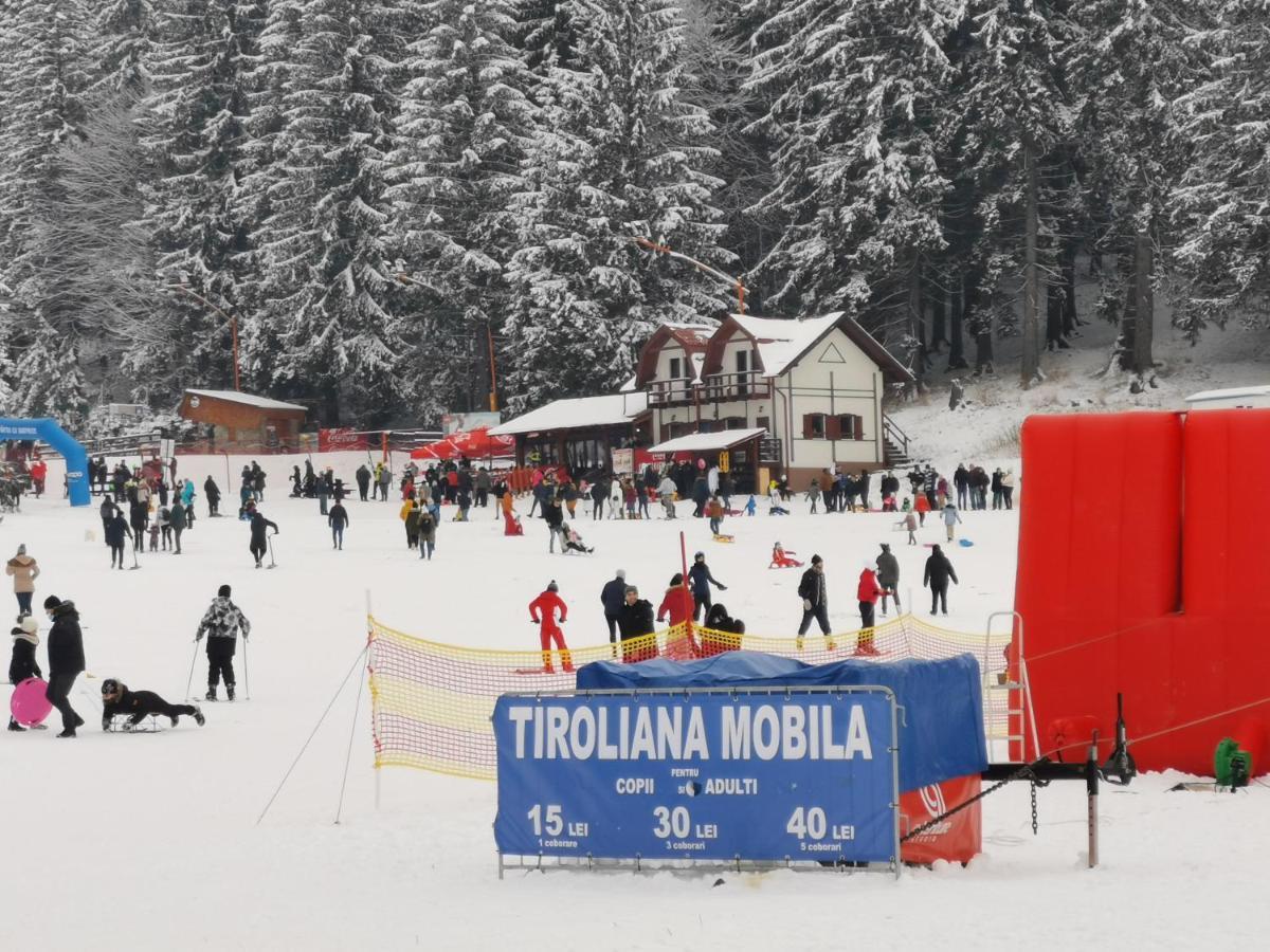 Challet Montan Poiana Brasov Exterior photo