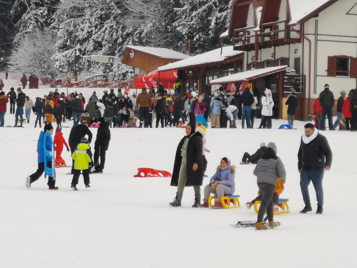 Challet Montan Poiana Brasov Exterior photo