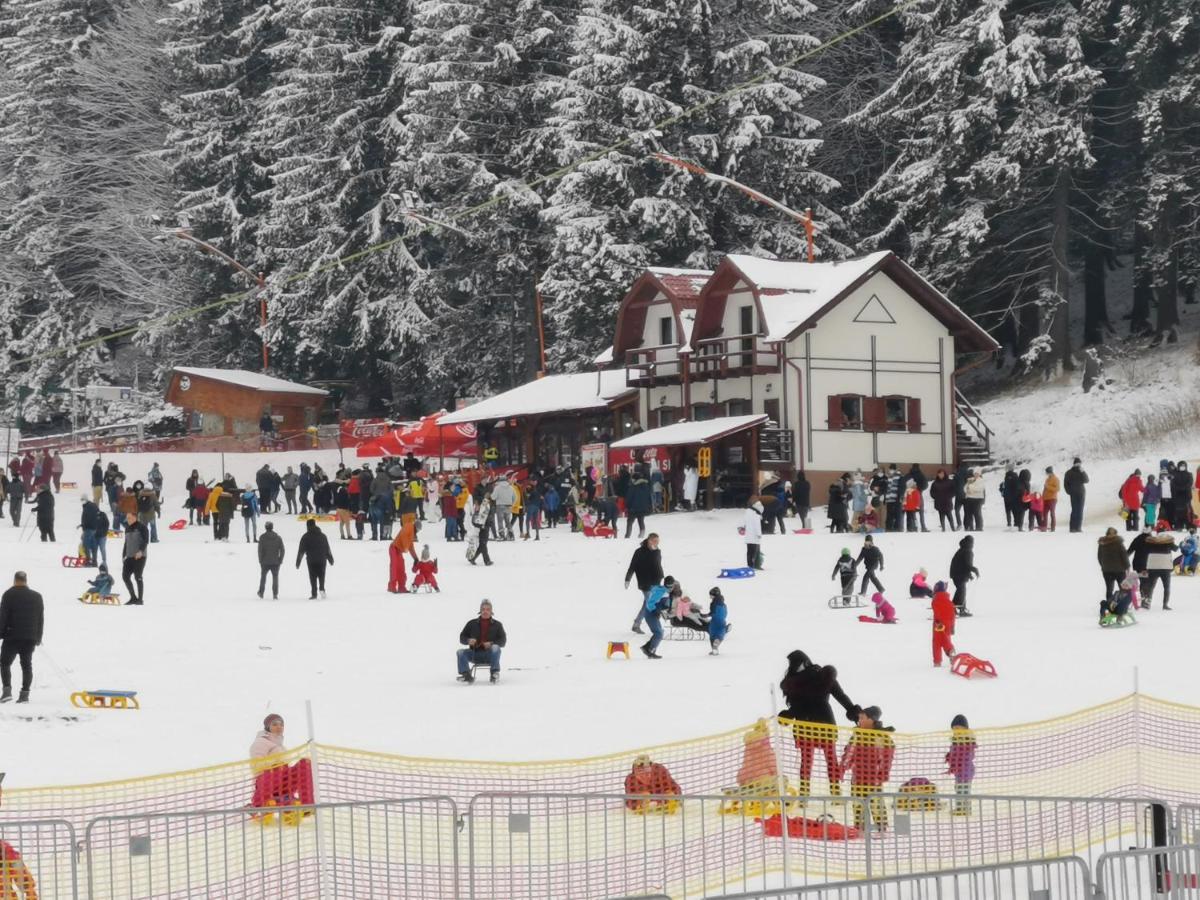 Challet Montan Poiana Brasov Exterior photo