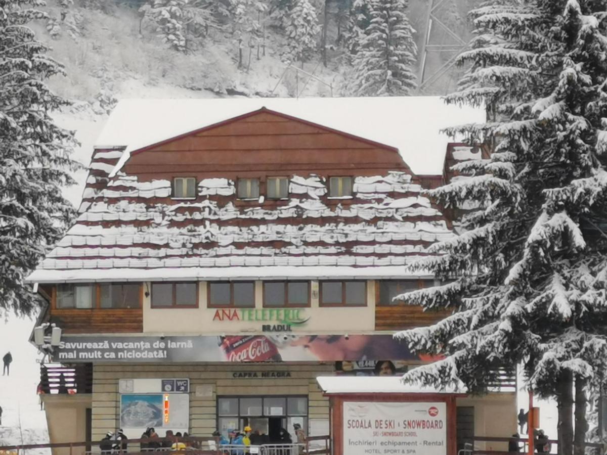 Challet Montan Poiana Brasov Exterior photo