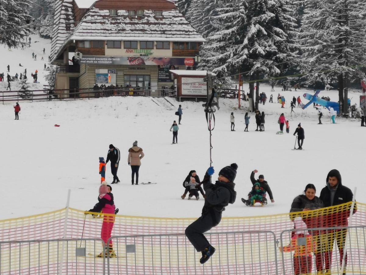 Challet Montan Poiana Brasov Exterior photo