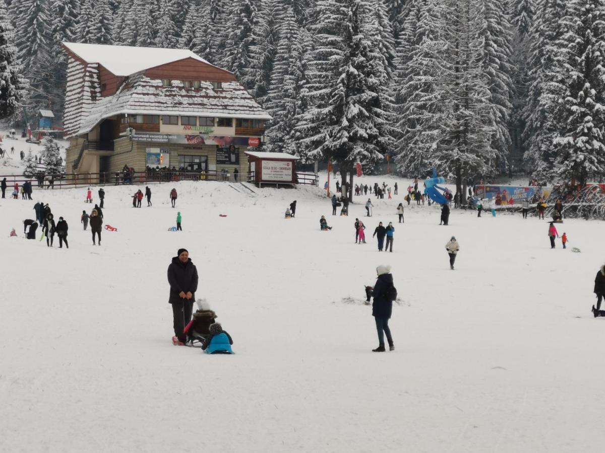 Challet Montan Poiana Brasov Exterior photo