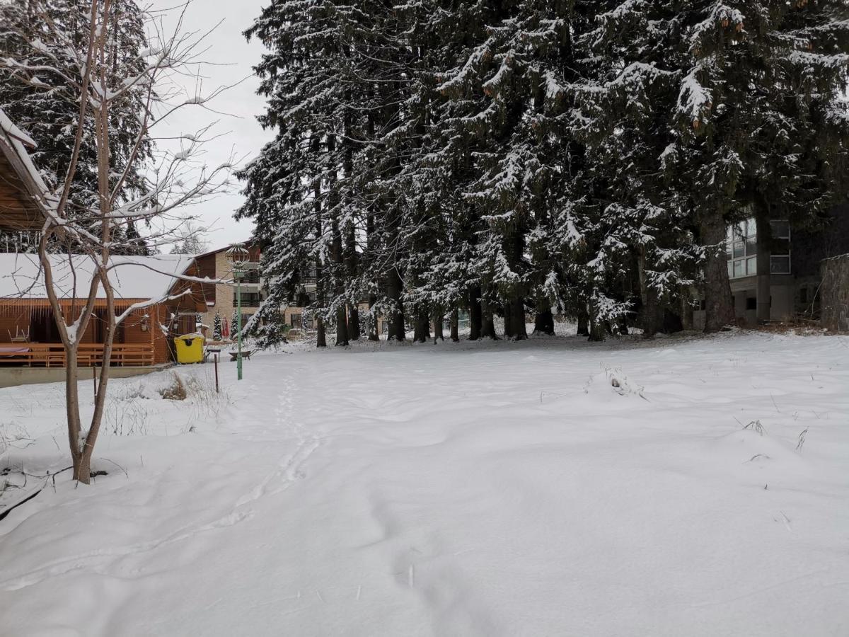 Challet Montan Poiana Brasov Exterior photo