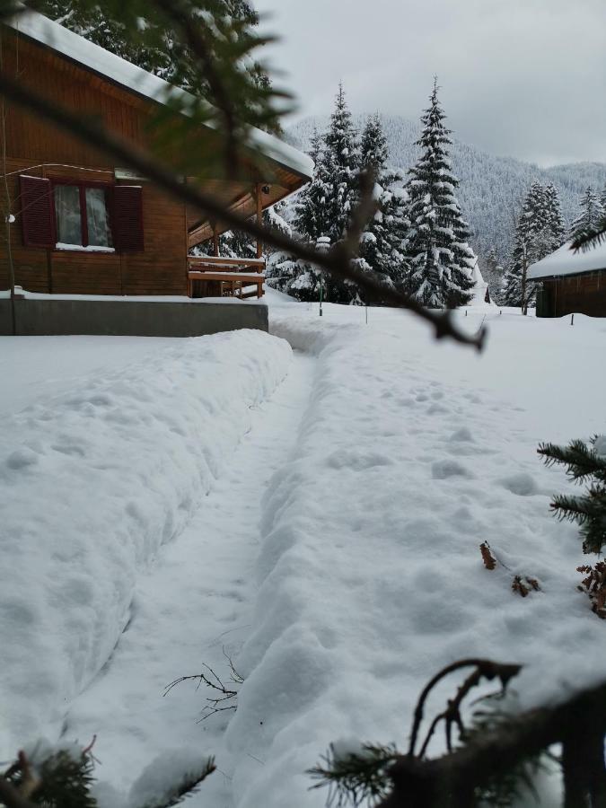 Challet Montan Poiana Brasov Exterior photo