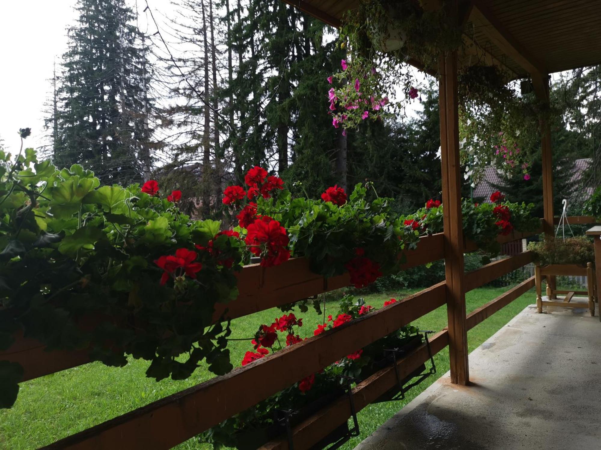 Challet Montan Poiana Brasov Exterior photo