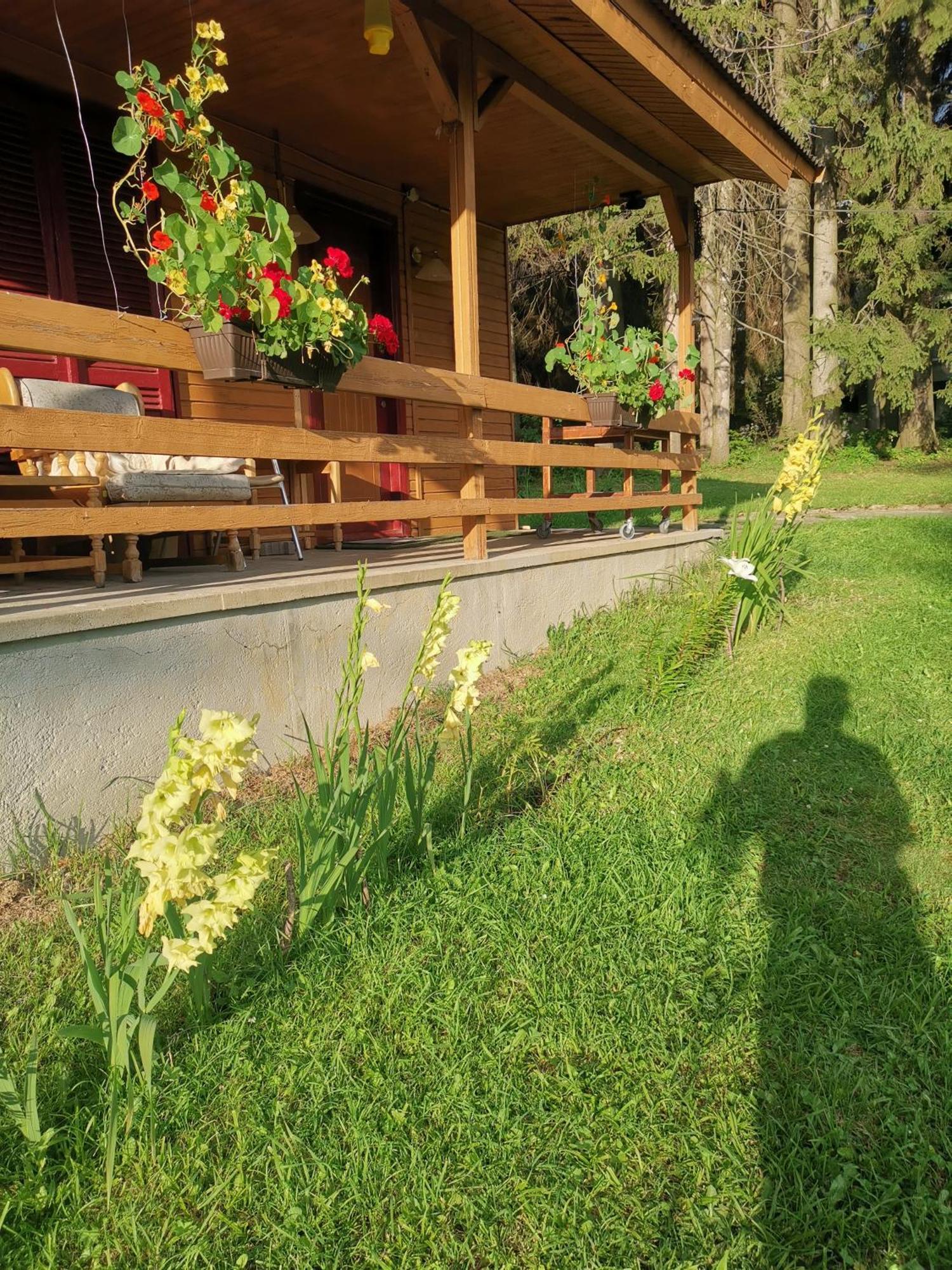 Challet Montan Poiana Brasov Exterior photo