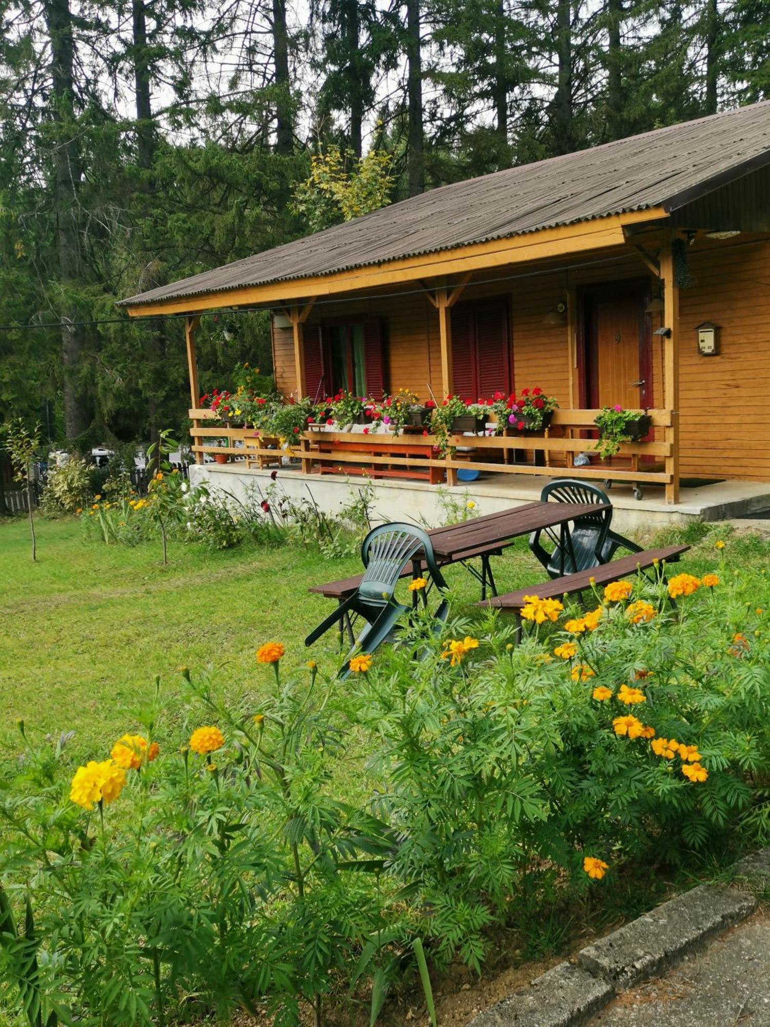 Challet Montan Poiana Brasov Exterior photo
